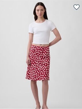 NWT Skirt